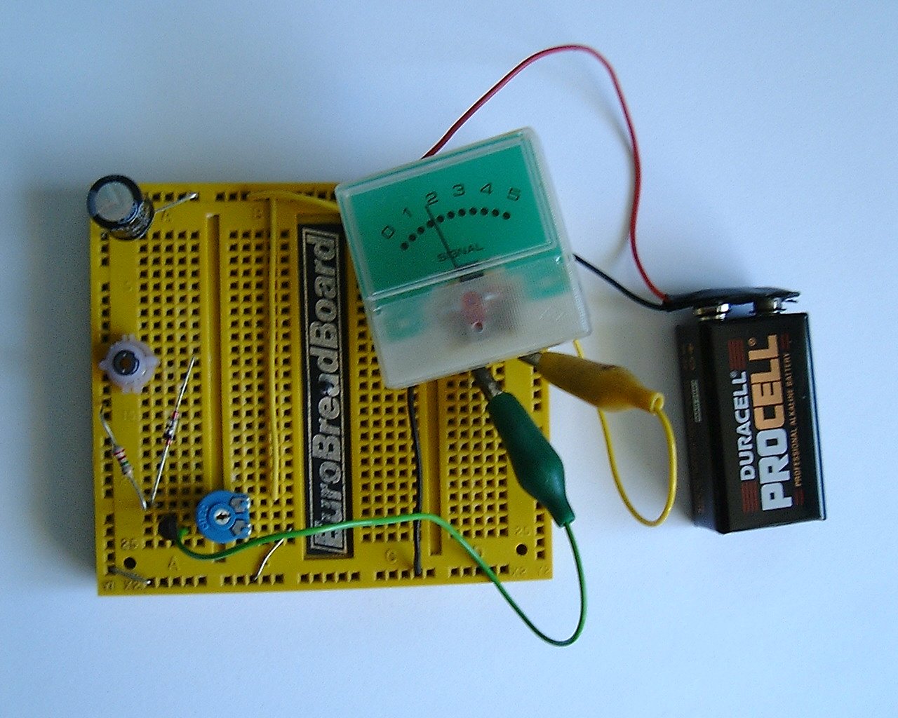 Bug Detector